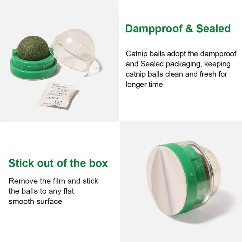 Catnip Ball Toy – Rotating Wall-Mounted Cat Enrichment Toy