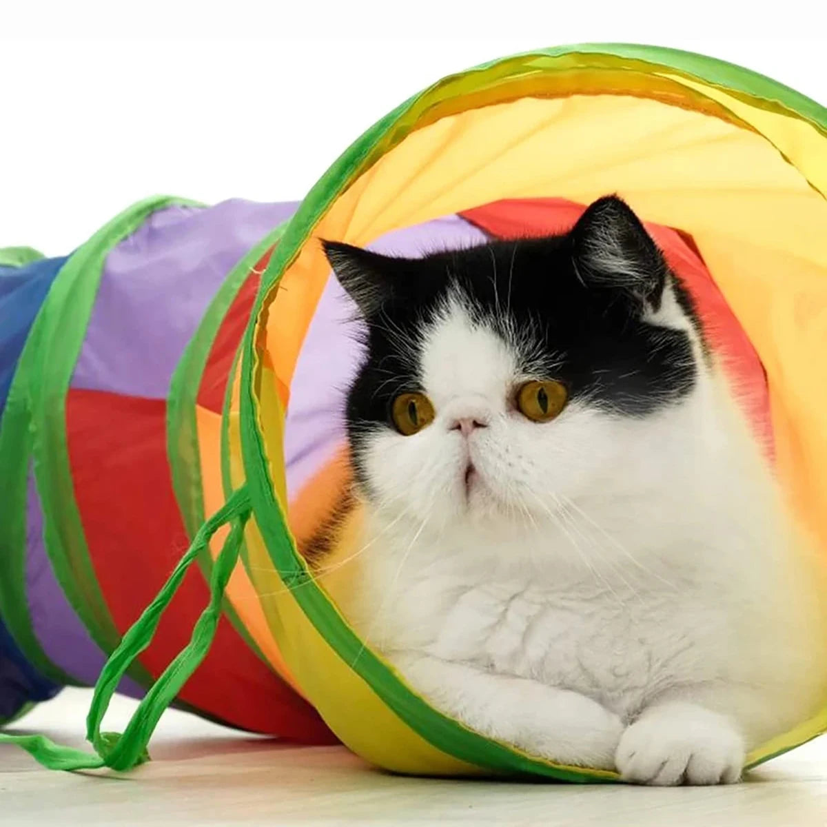 Foldable Cat Tunnel for Indoor Cats