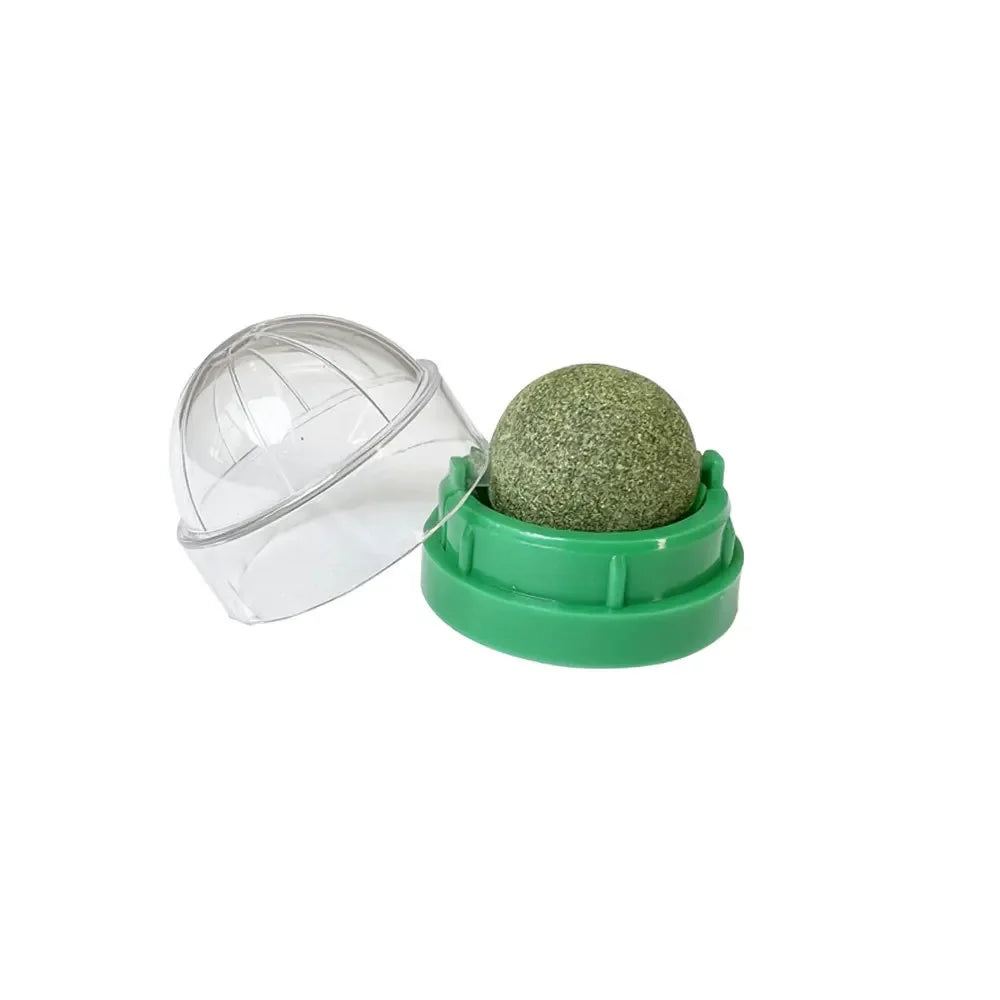 Catnip Ball Toy – Rotating Wall-Mounted Cat Enrichment Toy