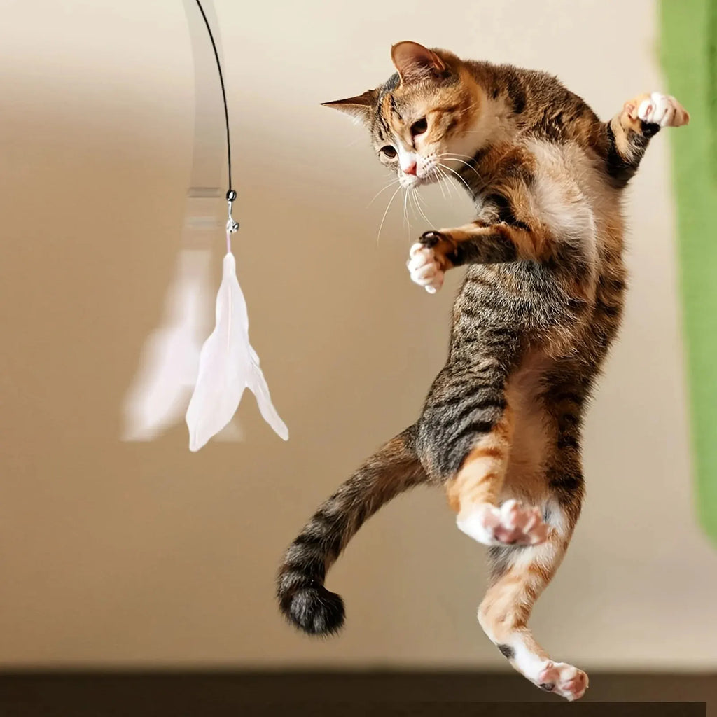 Suction Cup Cat Teaser Wand with Bell and Feathers