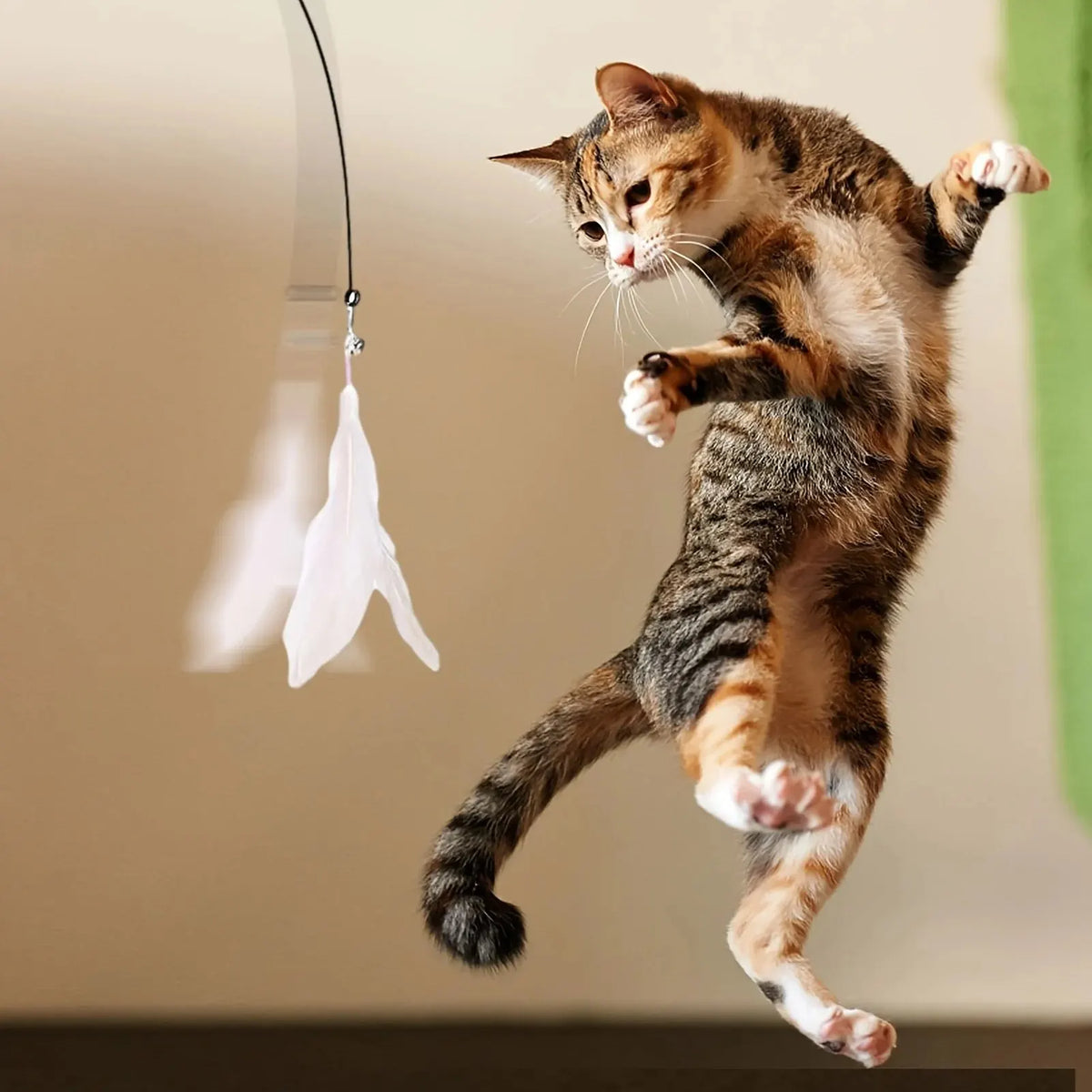 Suction Cup Cat Teaser Wand with Bell and Feathers