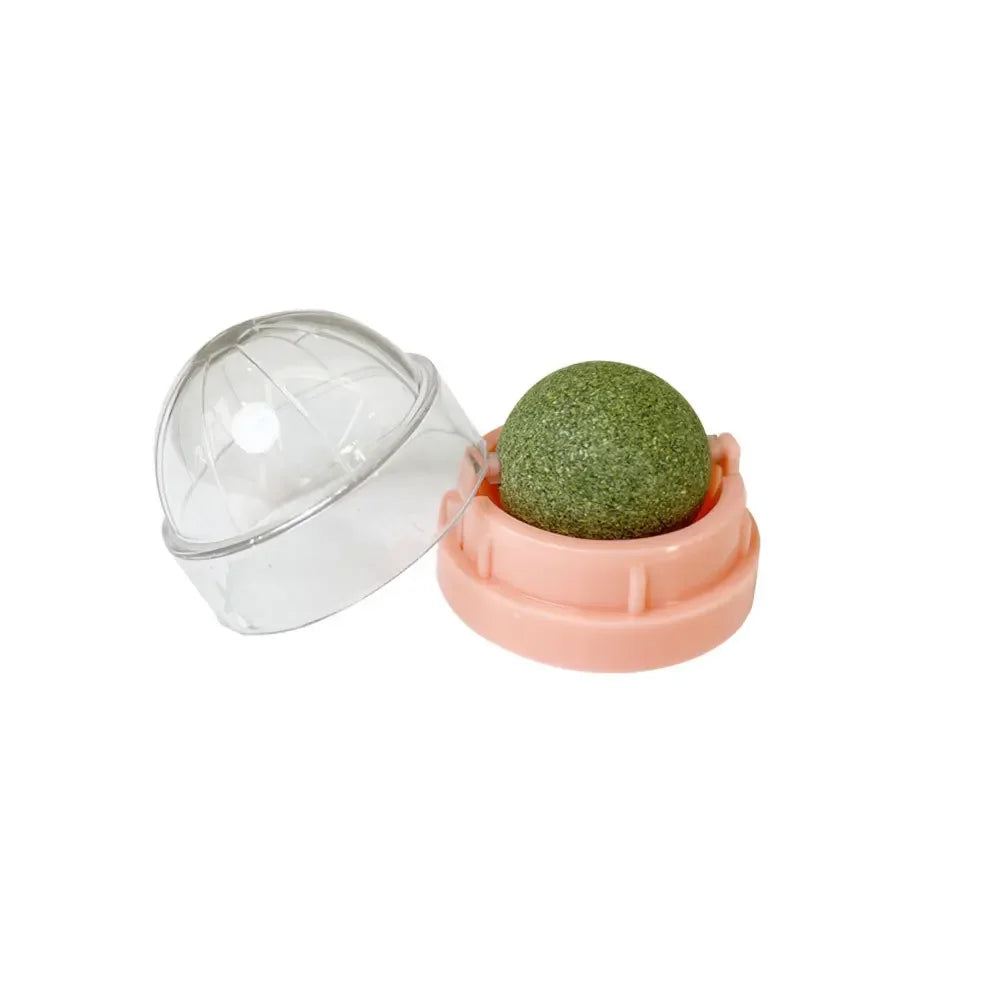 Catnip Ball Toy – Rotating Wall-Mounted Cat Enrichment Toy