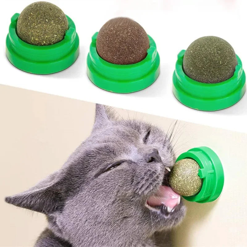 Catnip Ball Toy – Rotating Wall-Mounted Cat Enrichment Toy