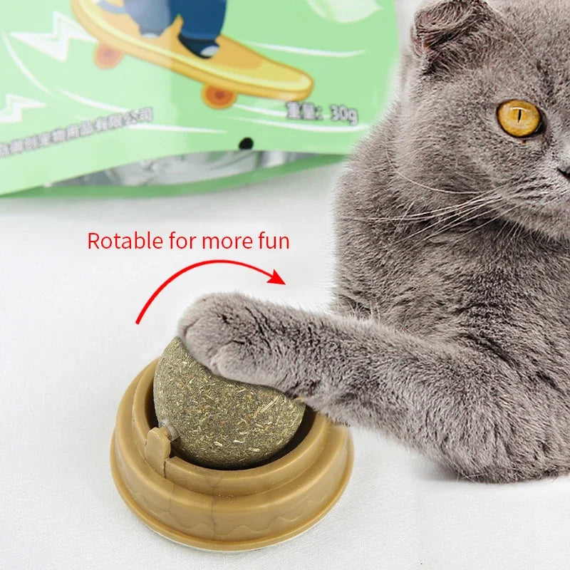 Catnip Ball Toy – Rotating Wall-Mounted Cat Enrichment Toy