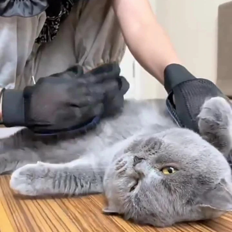 Silicone Cat Grooming Glove – Deshedding & Massage Brush